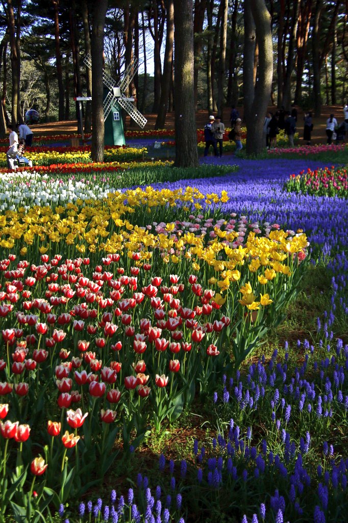 あやかNB📷∞ tweet media