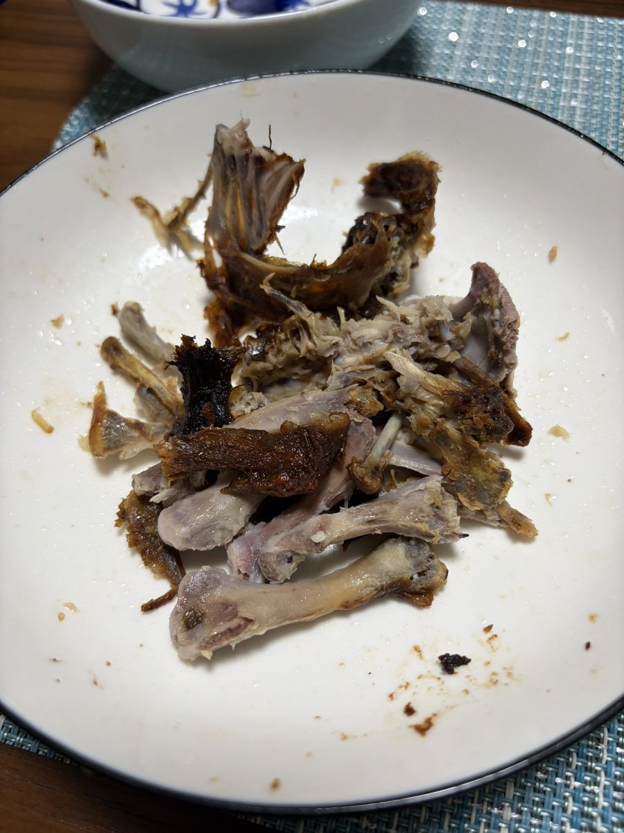 雨華（うか）🦎🦔☕️ tweet media