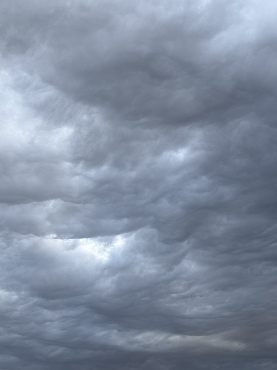 عُمر tweet media