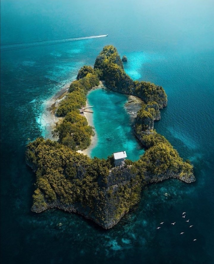 Earth tweet media