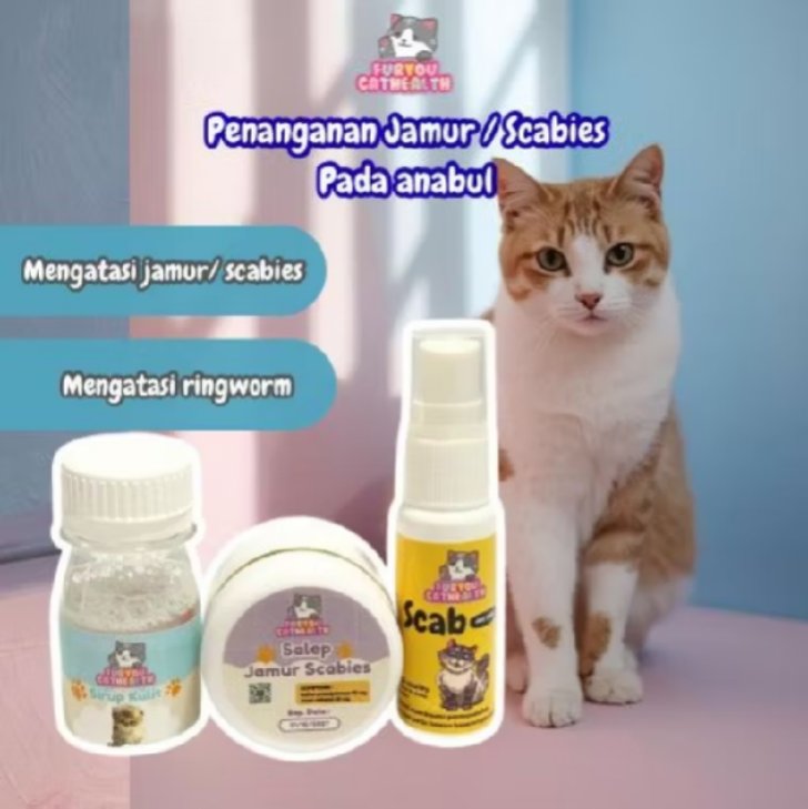 l63391l's tweet photo. @tanyarlfes https://t.co/WPQ5u2trFl
Pake ini nderr kucing ku kalo scabies pake salep sama minum obatnya biar cepet sembuh juga minum obat dari dalam https://t.co/SmaMkCO9Mk