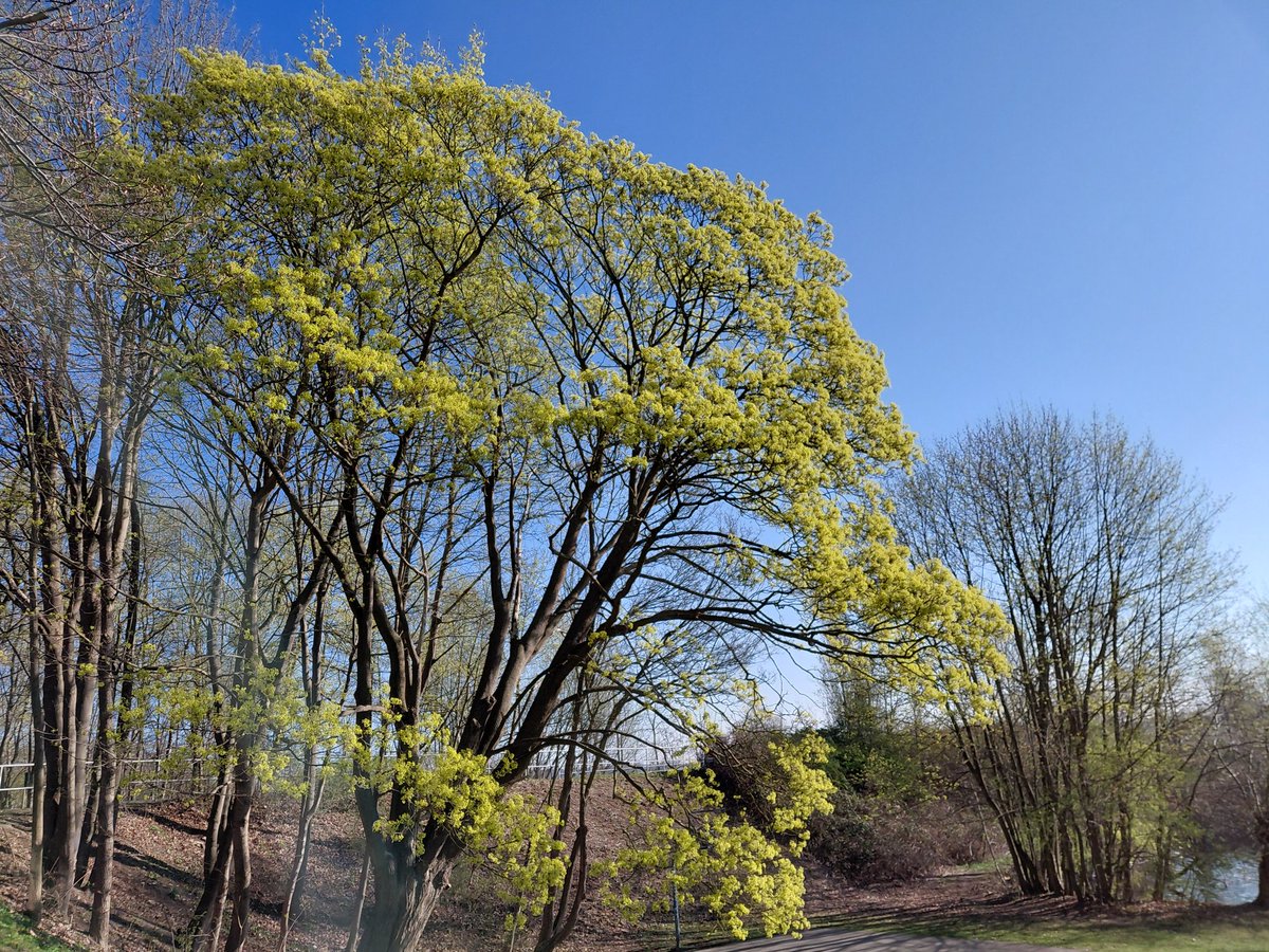 Cornelia 🕊⚖️ tweet media