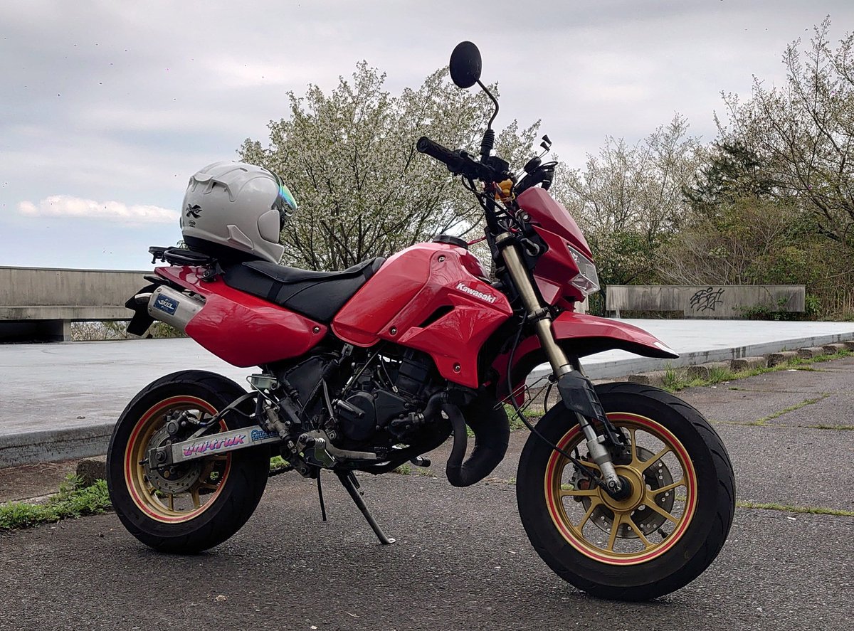 ぢょーかーくに tweet media