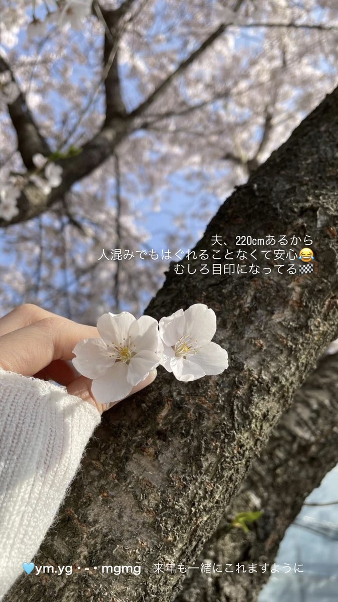 ももも tweet media