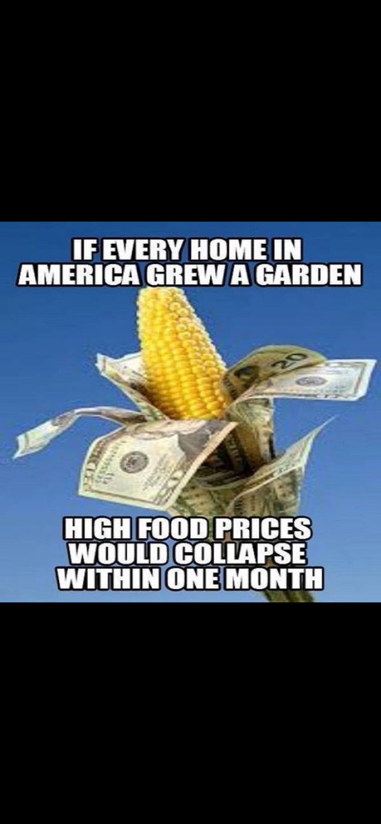 0️⃣BlackBetty ⚓️ tweet media