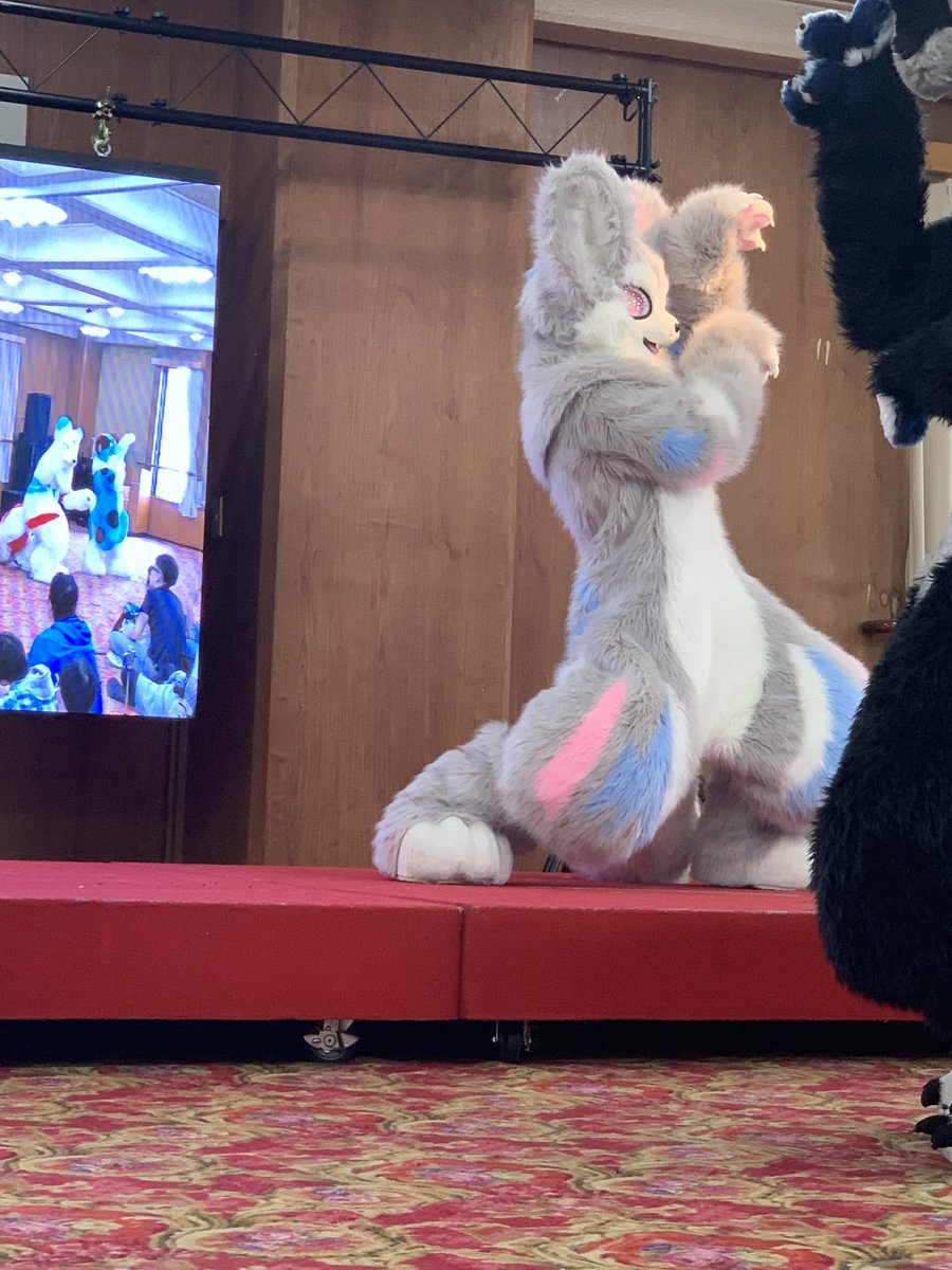 兎蛙梟（とみださら）/ラトの主 next→ゆめモフ8 tweet media