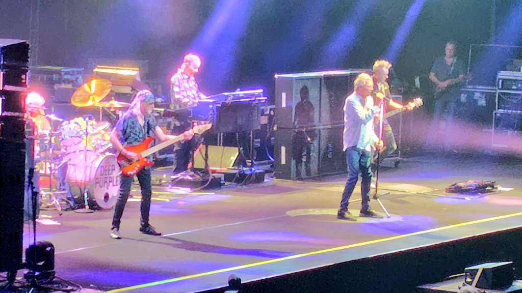 りあら＠ちまねこ(ФωФ) tweet media