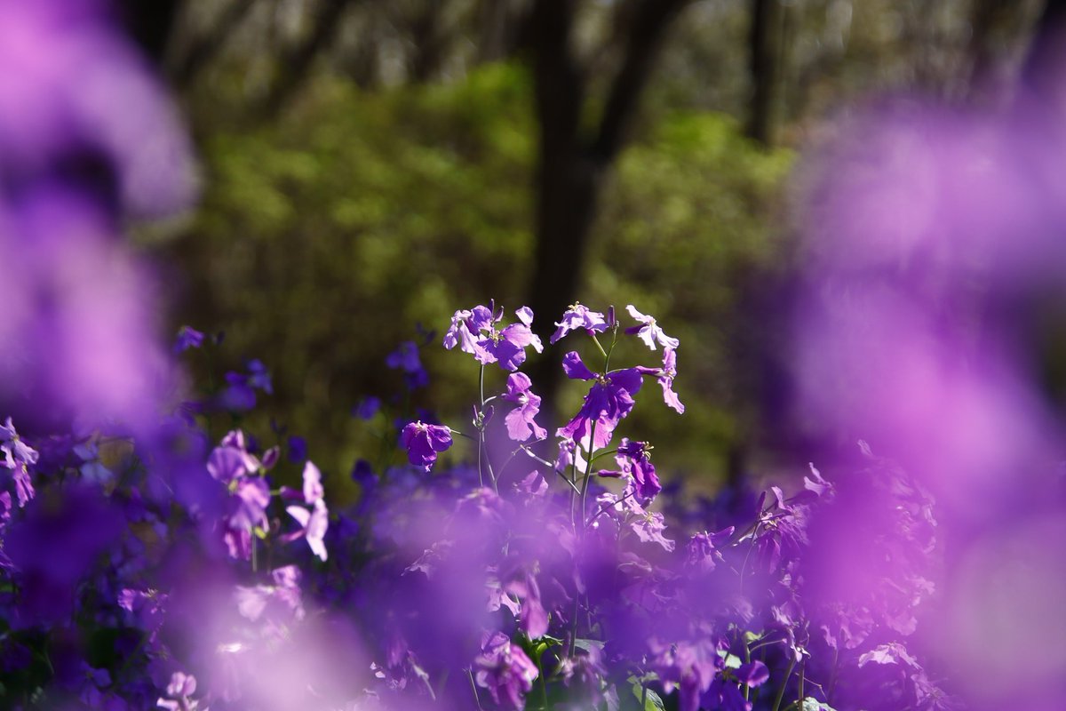 あやかNB📷∞ tweet media