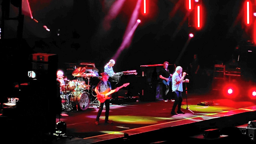 りあら＠ちまねこ(ФωФ) tweet media