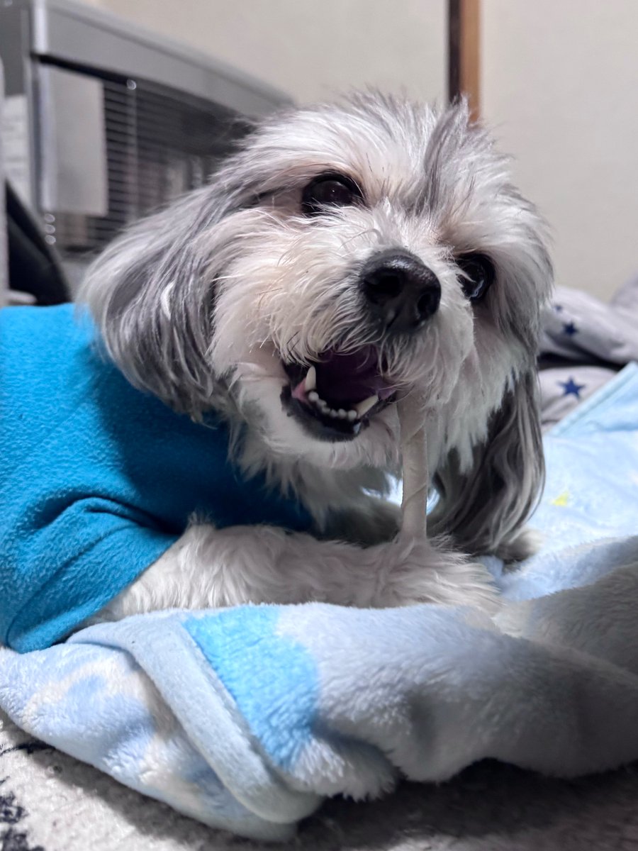 つんこむ tweet media