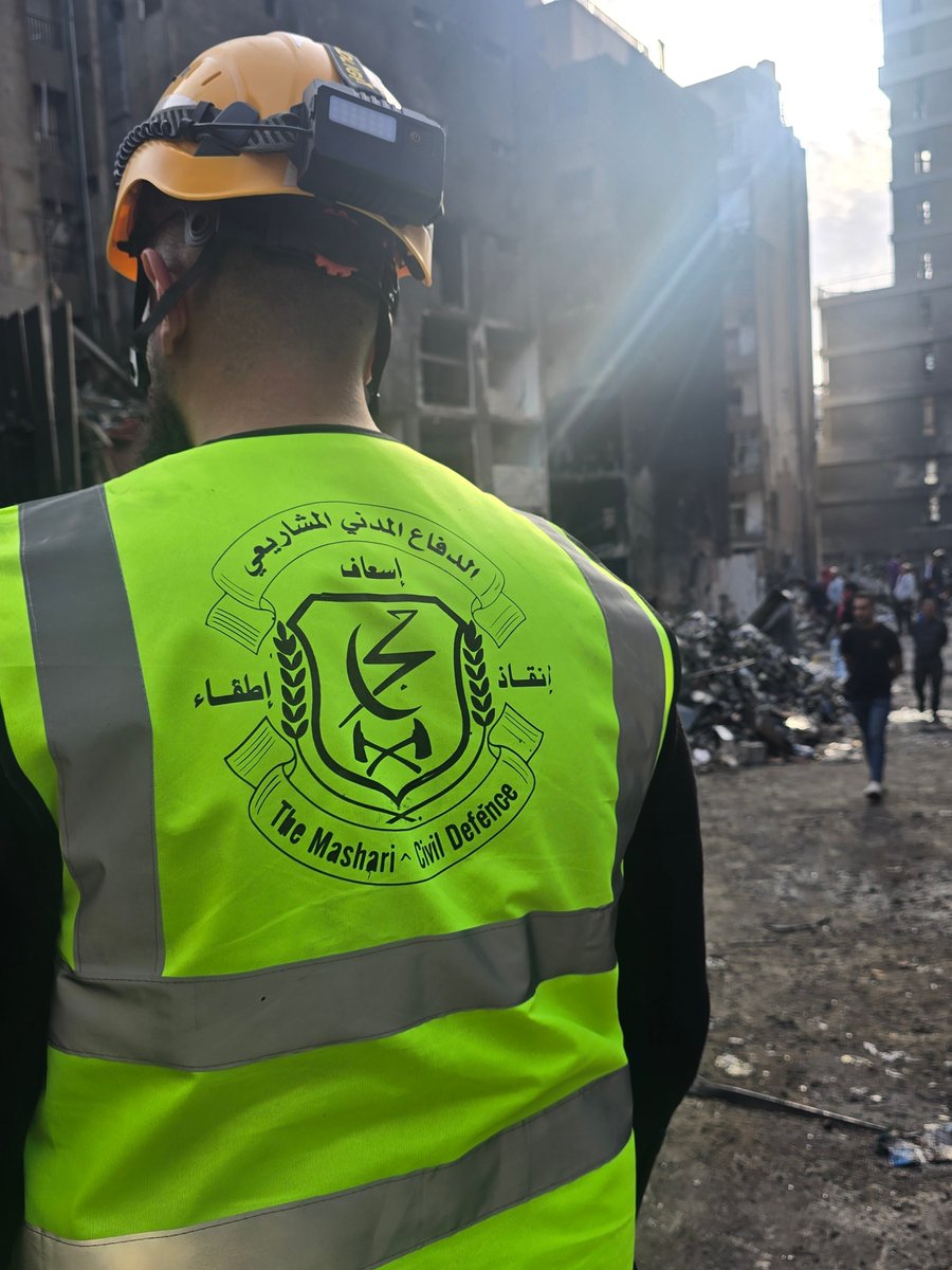 roqayah chamseddine tweet media