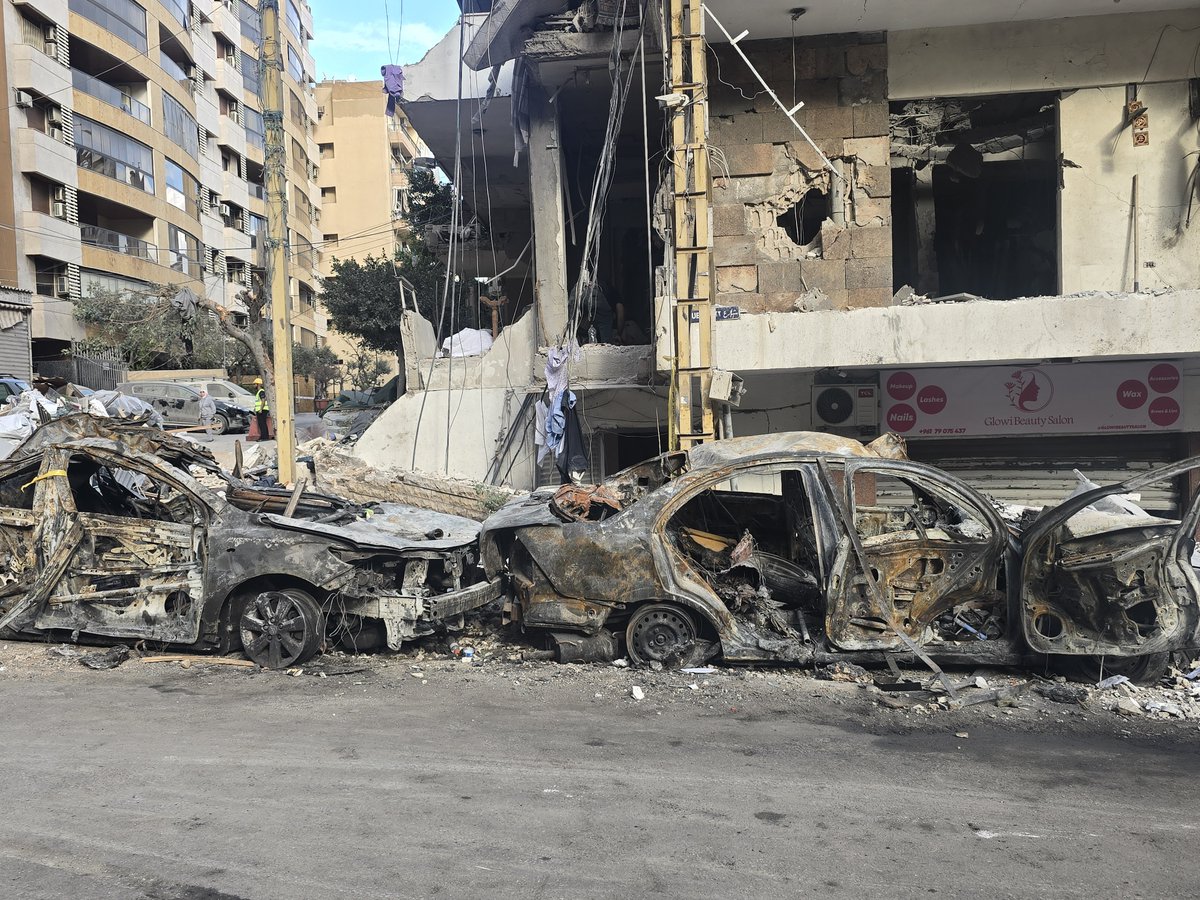 roqayah chamseddine tweet media