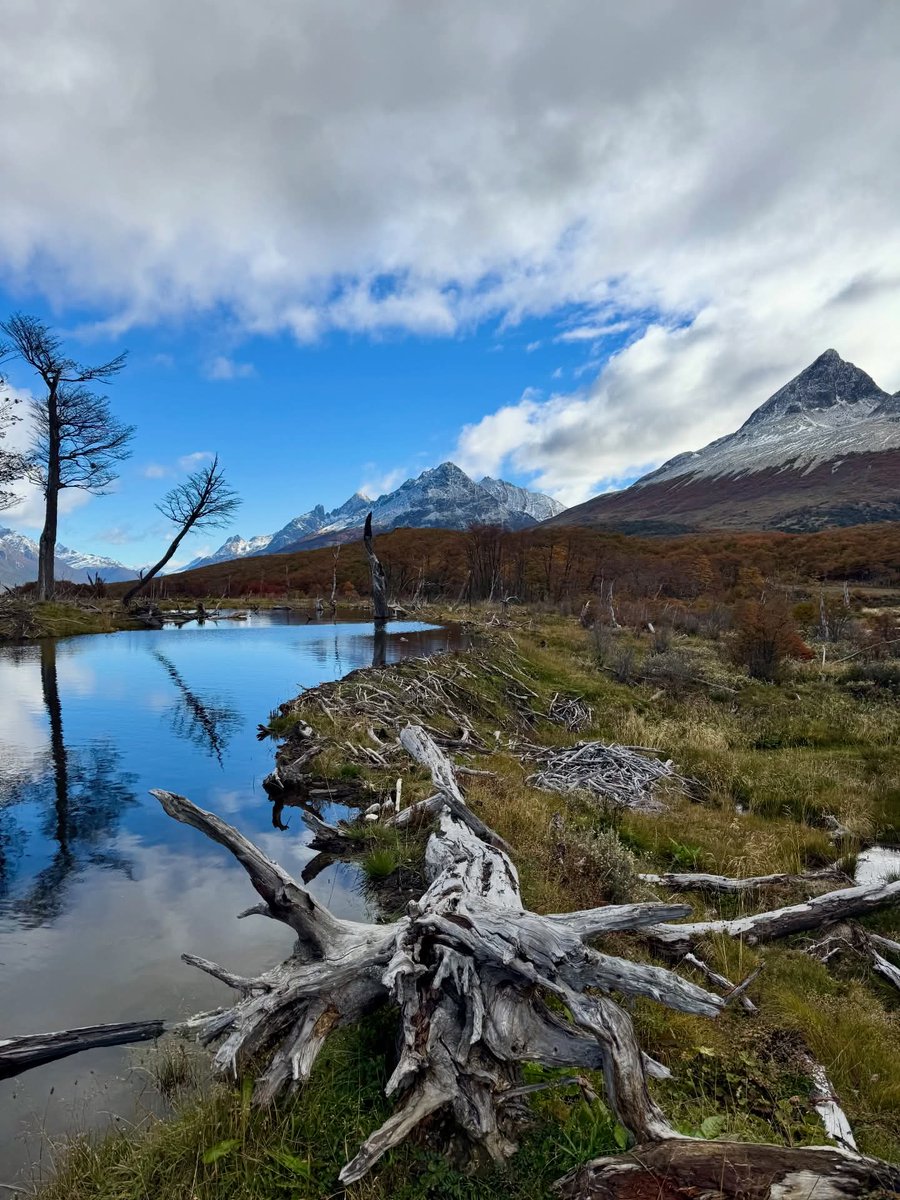 turisargentina's tweet photo. El otoño fueguino llena de cálidos colores las montañas de Tierra del Fuego. 🙌😃🍂🍁🇦🇷

Fotos de Patagonia Tv https://t.co/l9vOfwygFl