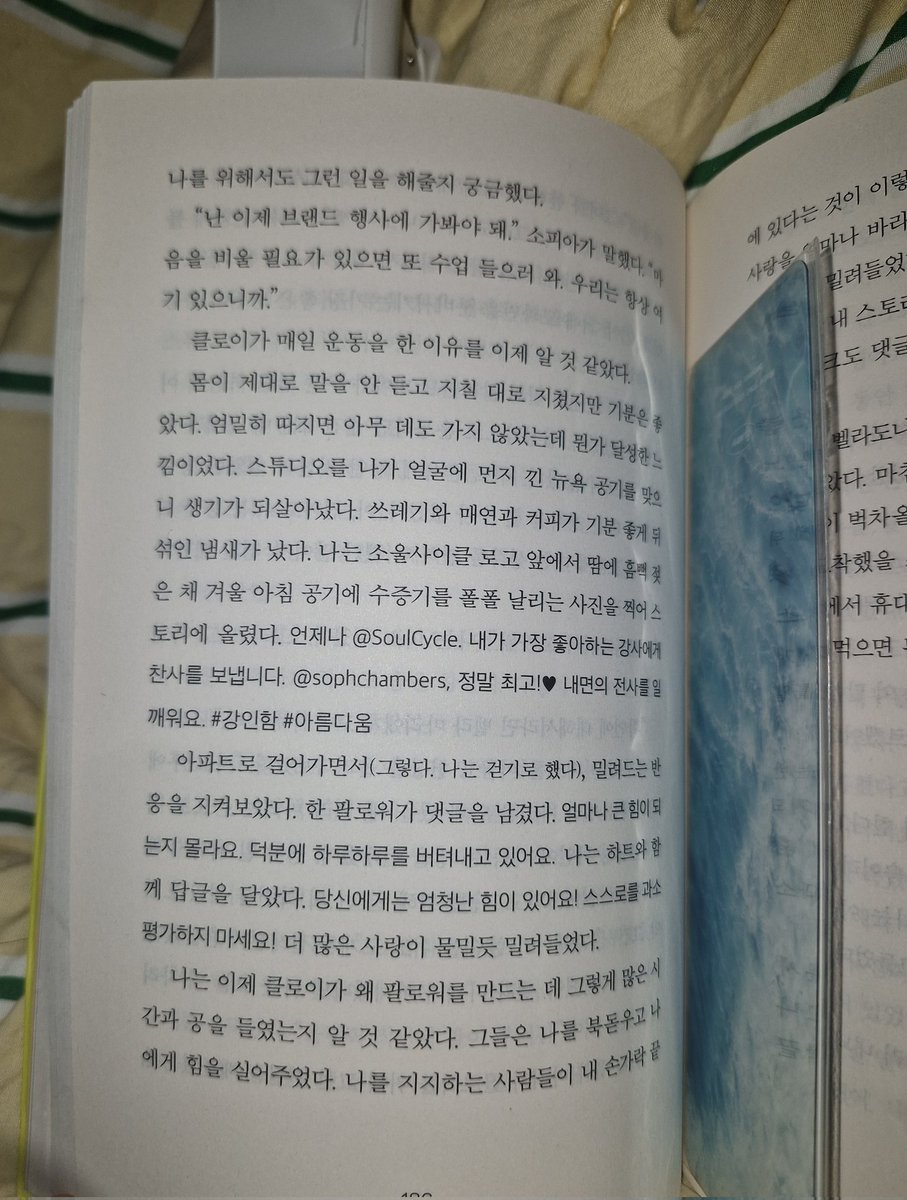땡칠이 tweet media