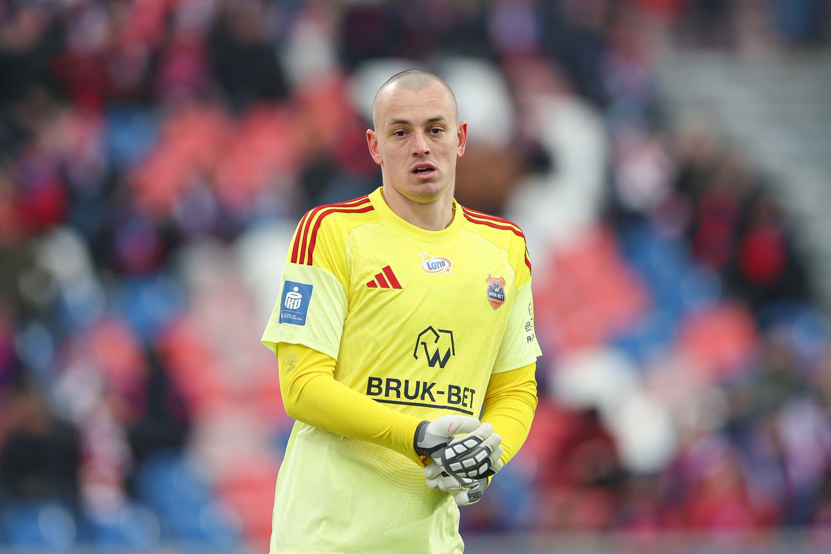 Śliski🔴⚪🐘 tweet media