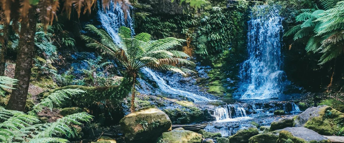 𑣲 mel tweet media