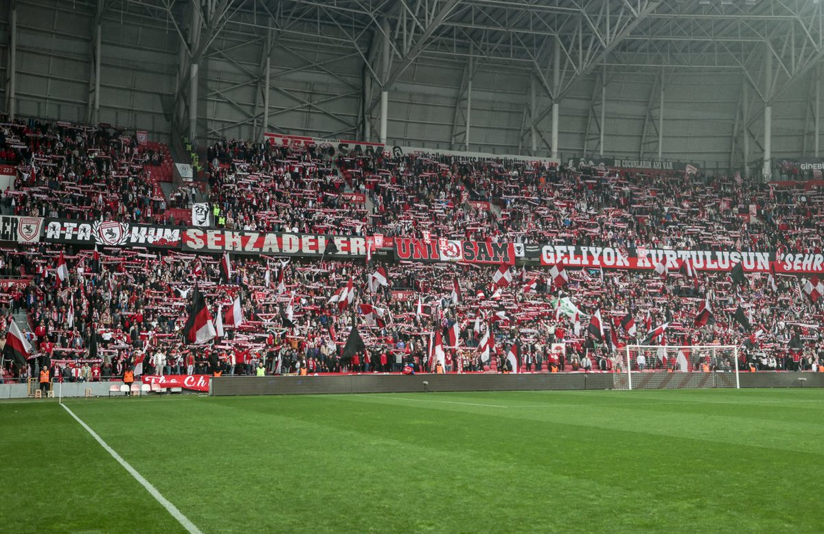 Fofi tweet media