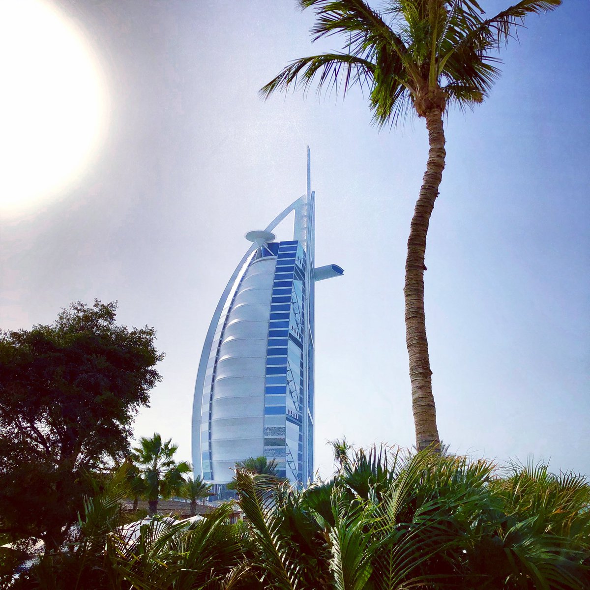 🌐 منصور tweet media