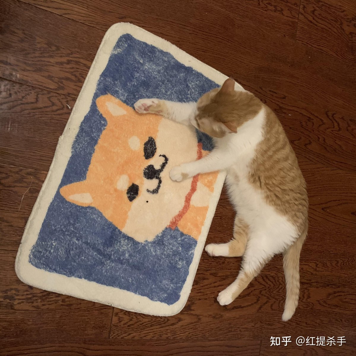 Erika Rangel tweet media