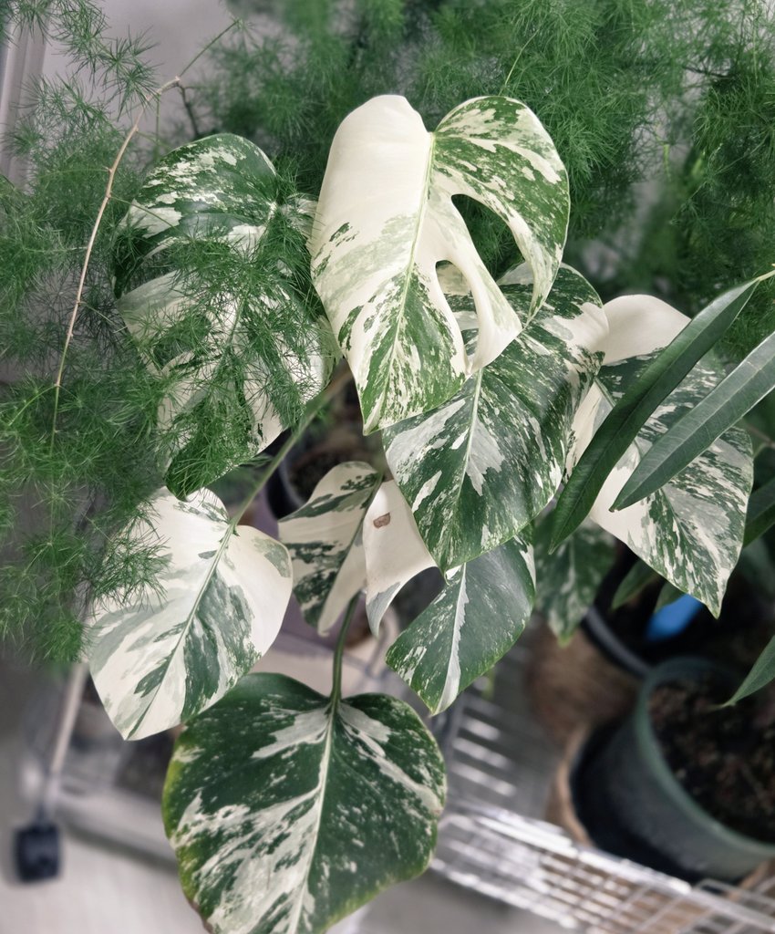 딸랑🍀 tweet media