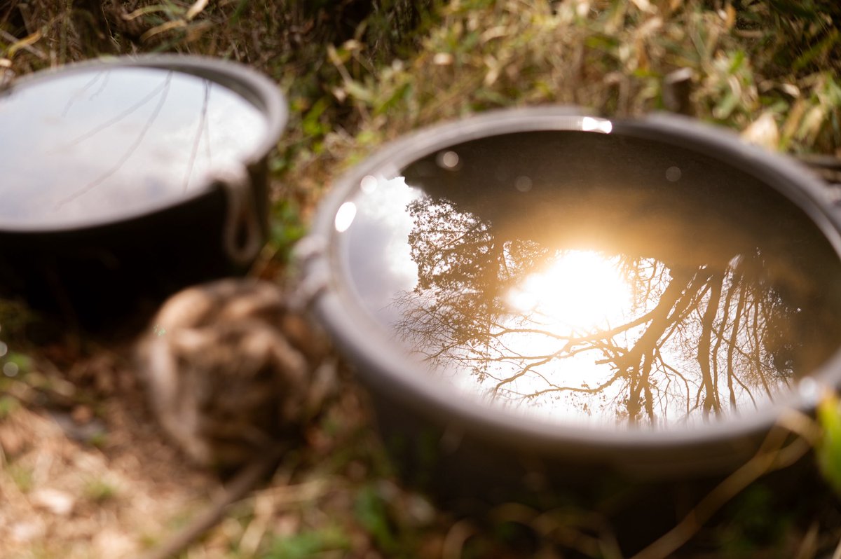 Choco Choco📸 tweet media