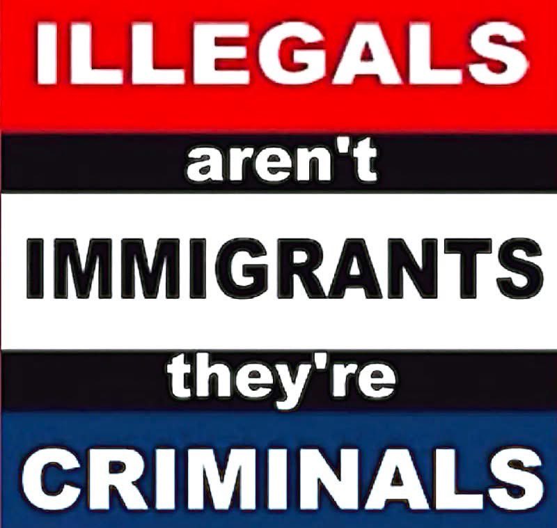 Grizzly 660 tweet media