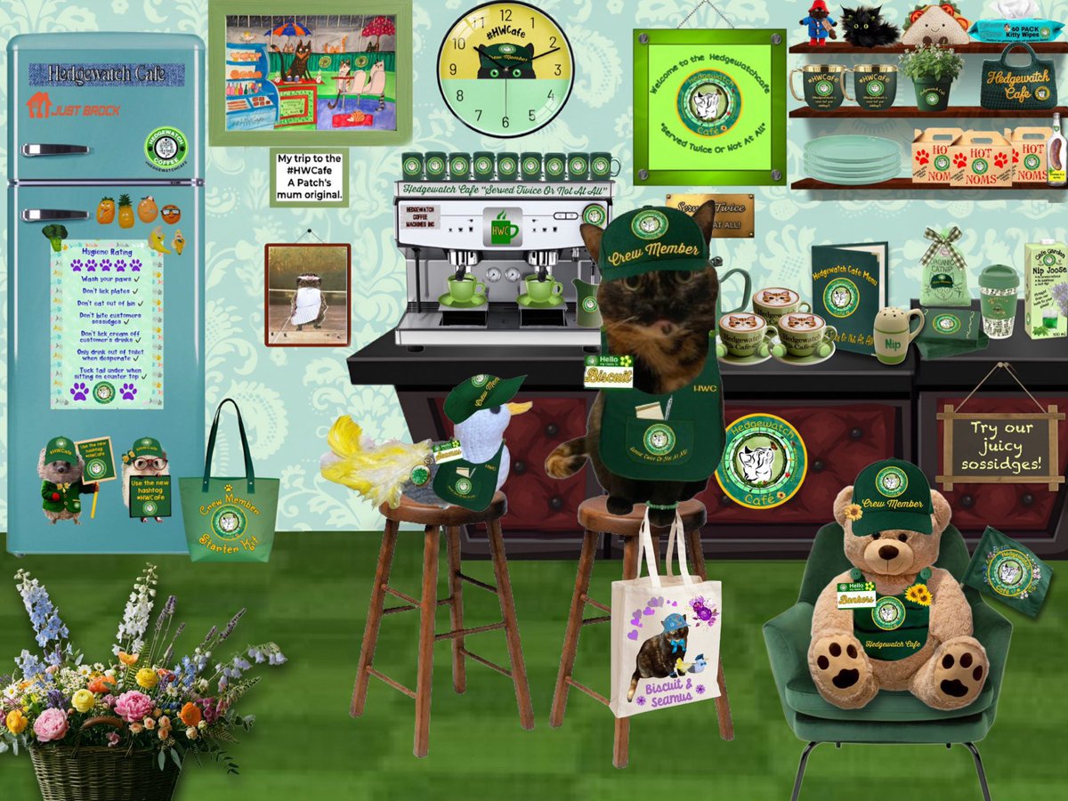 Biscuit😻🐦🐾💕 tweet media