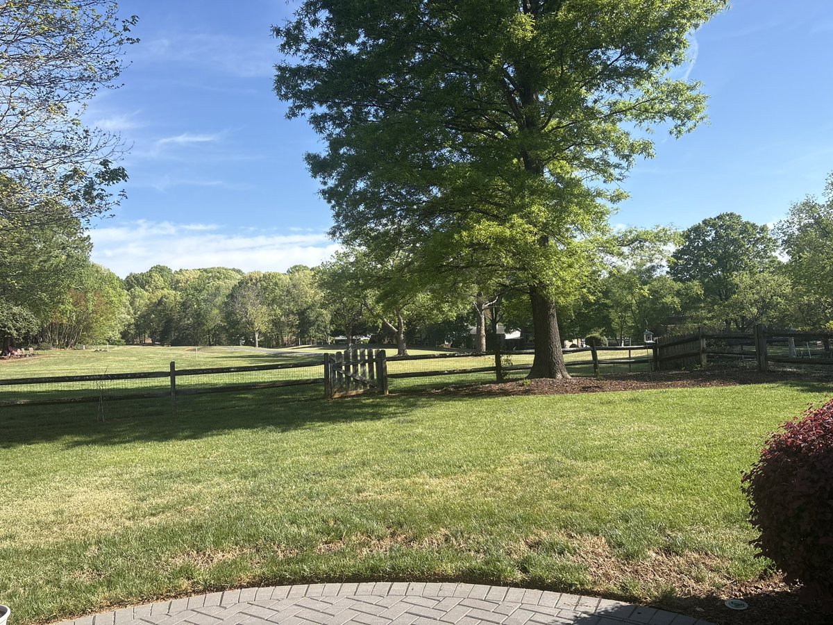 Jan Cale tweet media