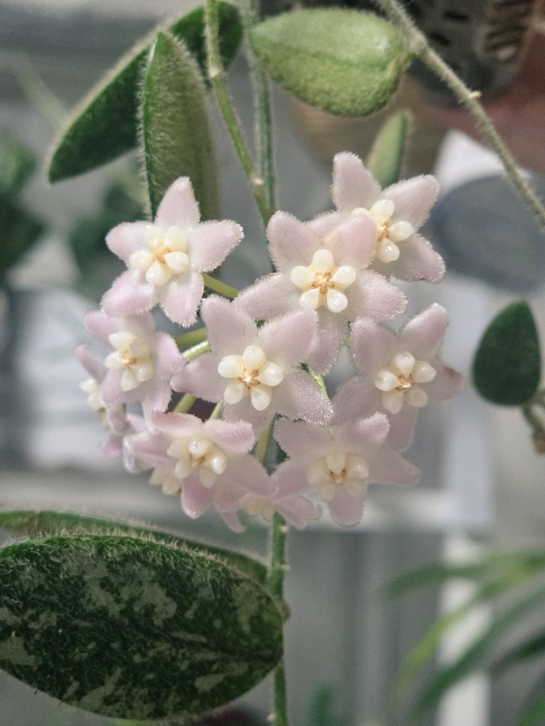 딸랑🍀 tweet media