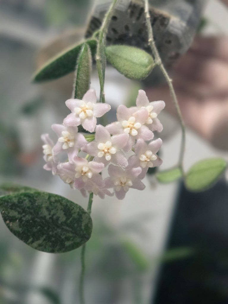 딸랑🍀 tweet media