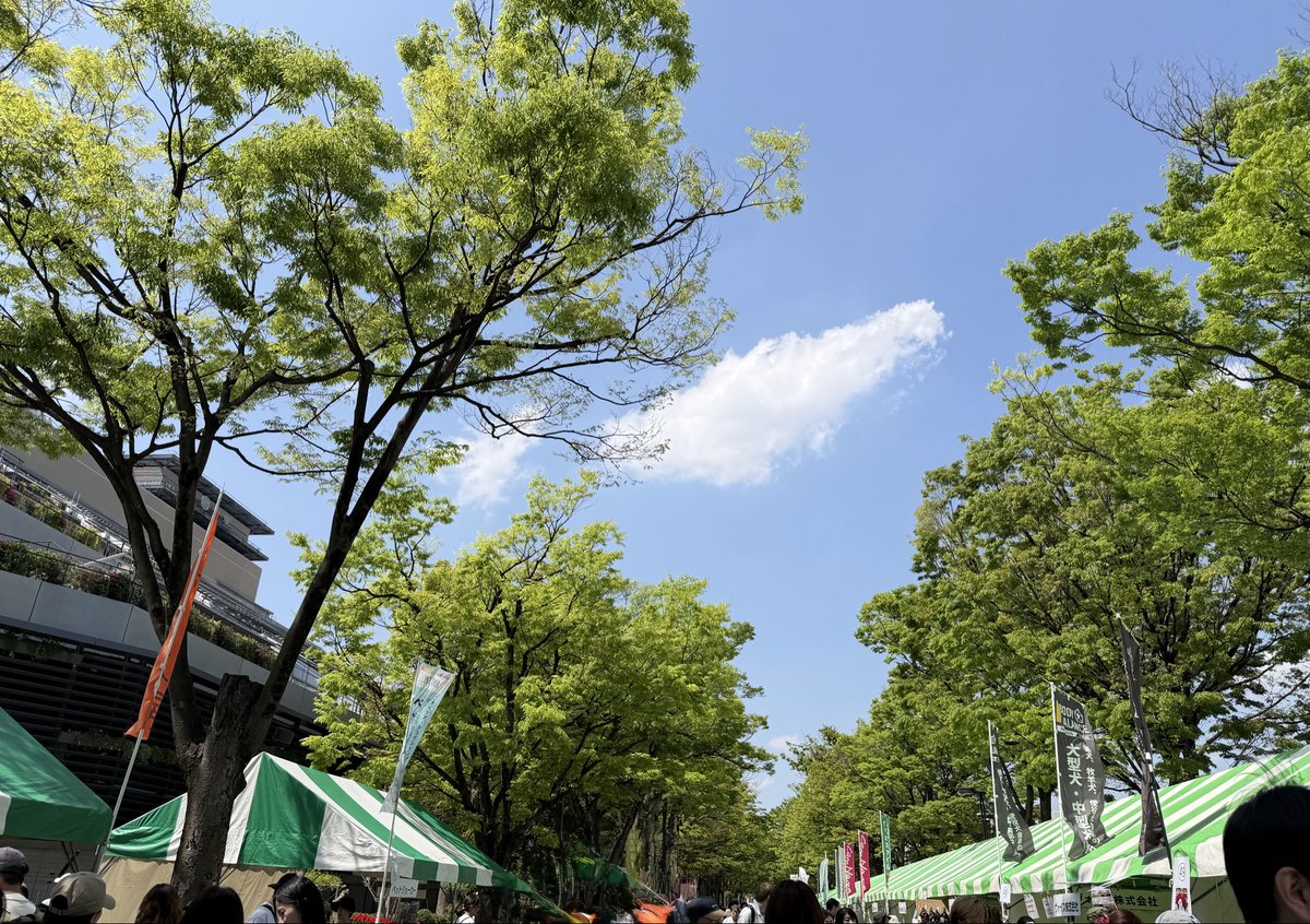 昨日に続き今日も #わんわんカーニバル へ
🐶お世話になっている方と渋谷で食事「近くでわんわんカーニバルが...」と誘って案内😆
わんちゃん好きなので楽しんでくれた♪
今日もタラの物を色々買ってしまった私｡
夏用のスリングにポイ太くんに..えーっと以下自粛🤣笑
 #代々木公園わんわんカーニバル