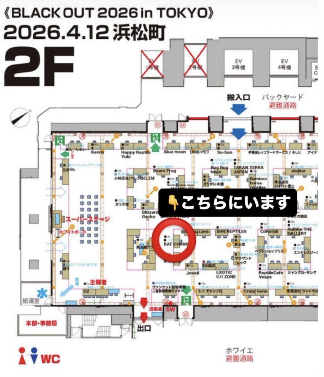 RAFちゃんねる有馬【RAF CHANNEL】 tweet media