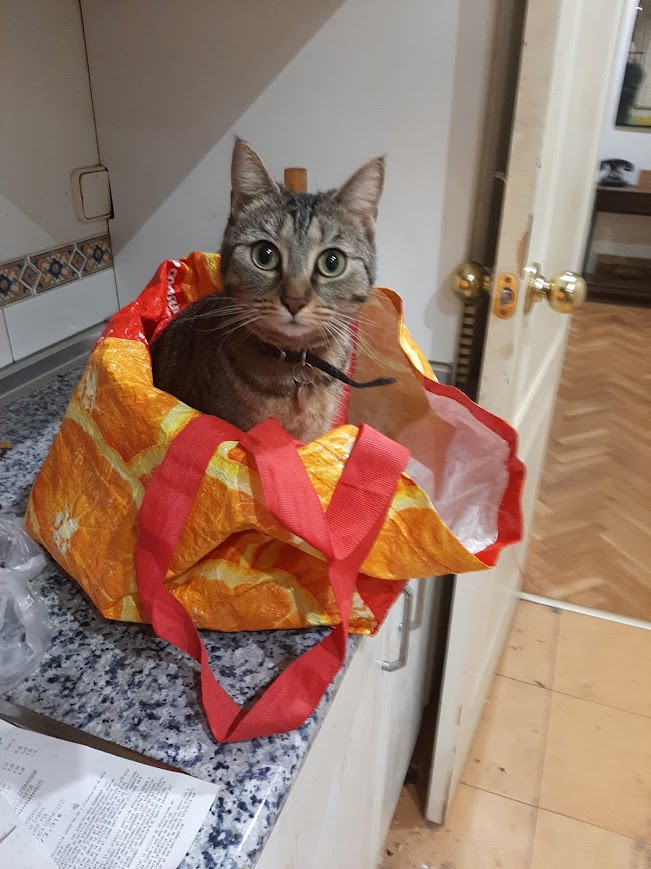 TheIpodHuman tweet media