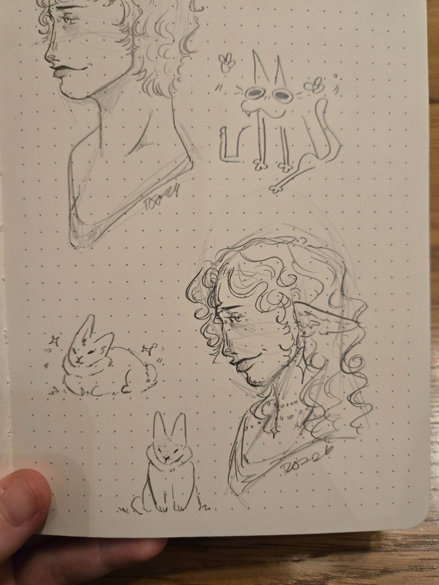 Don 🦐🫧 tweet media