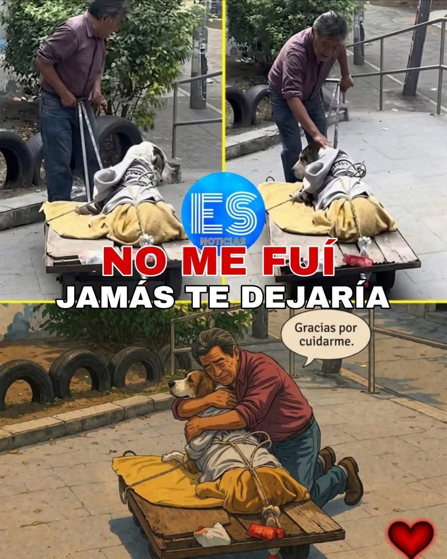 Vigia Ciudadano tweet media