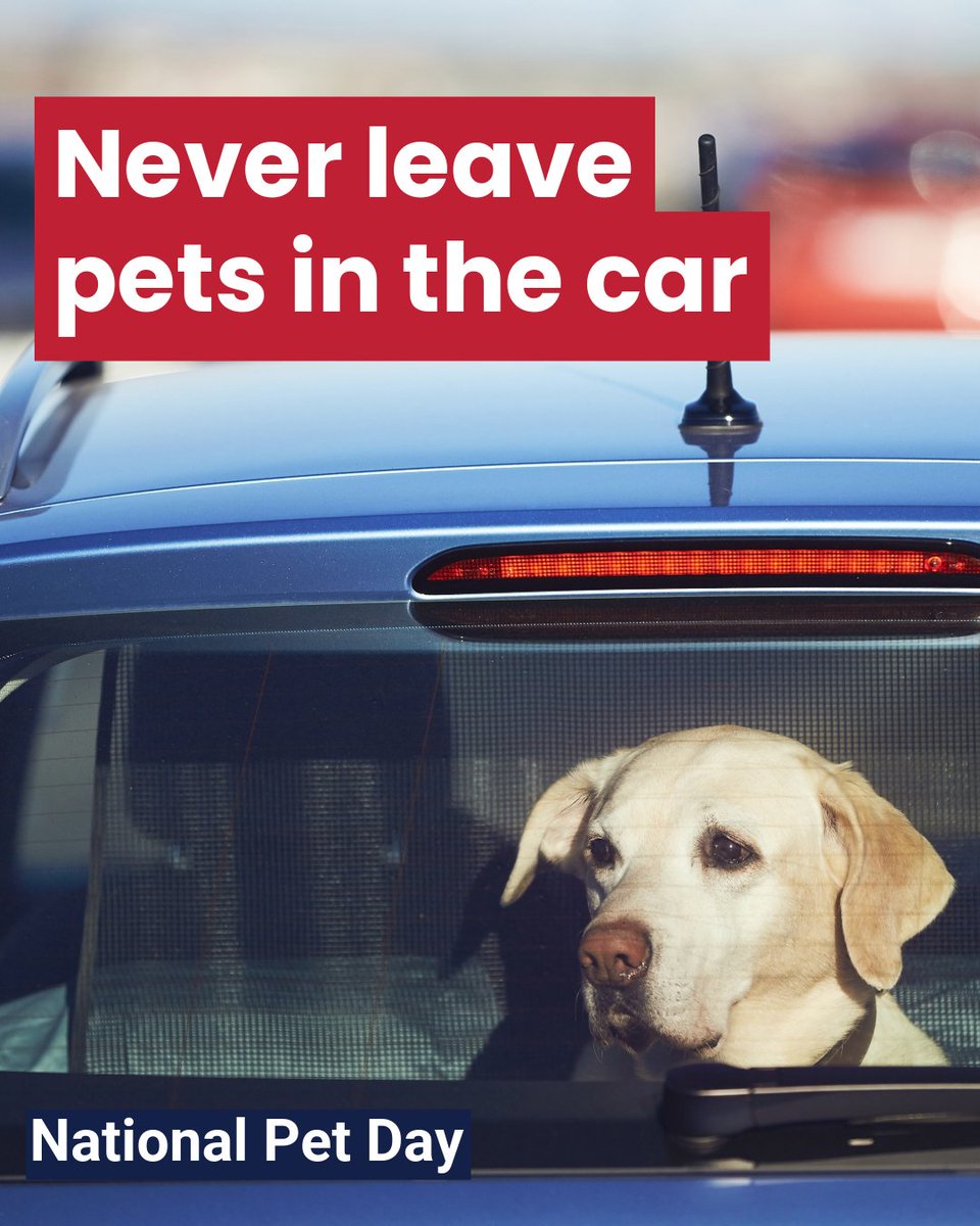 Maricopa County Public Health tweet media