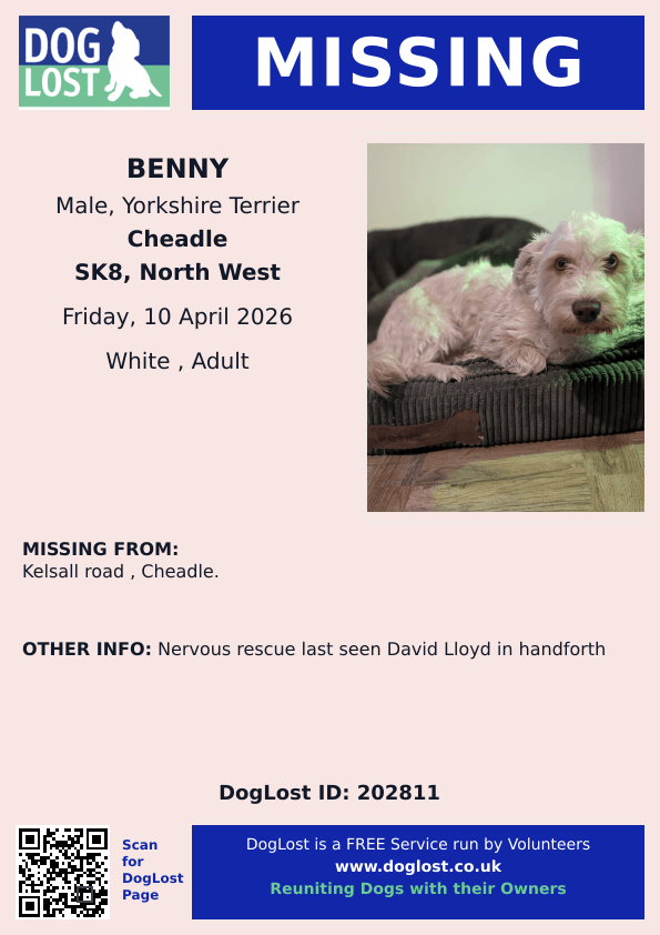 millypod1's tweet photo. π10 APR 2026 #Lost Benny #ScanMe
Yorkshire Terrier Male
Kelsall Road #Cheadle #Stockport #SK8 #Cheshire
Nervous rescue last seen David Lloyd in #Handforth
https://t.co/85hIfhDrJF https://t.co/QKbqMbyF49