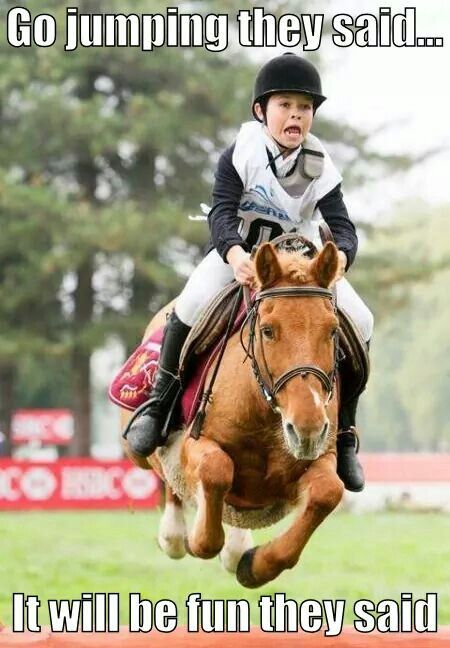 FrozenKnitter ❄⚓🦩 tweet media