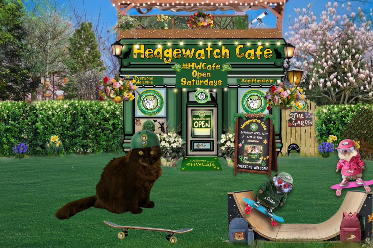 Jackson The Cat tweet media