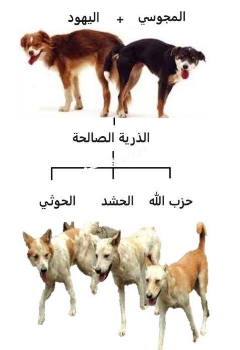 .. سعود الاحبابي 🇸🇦 tweet media