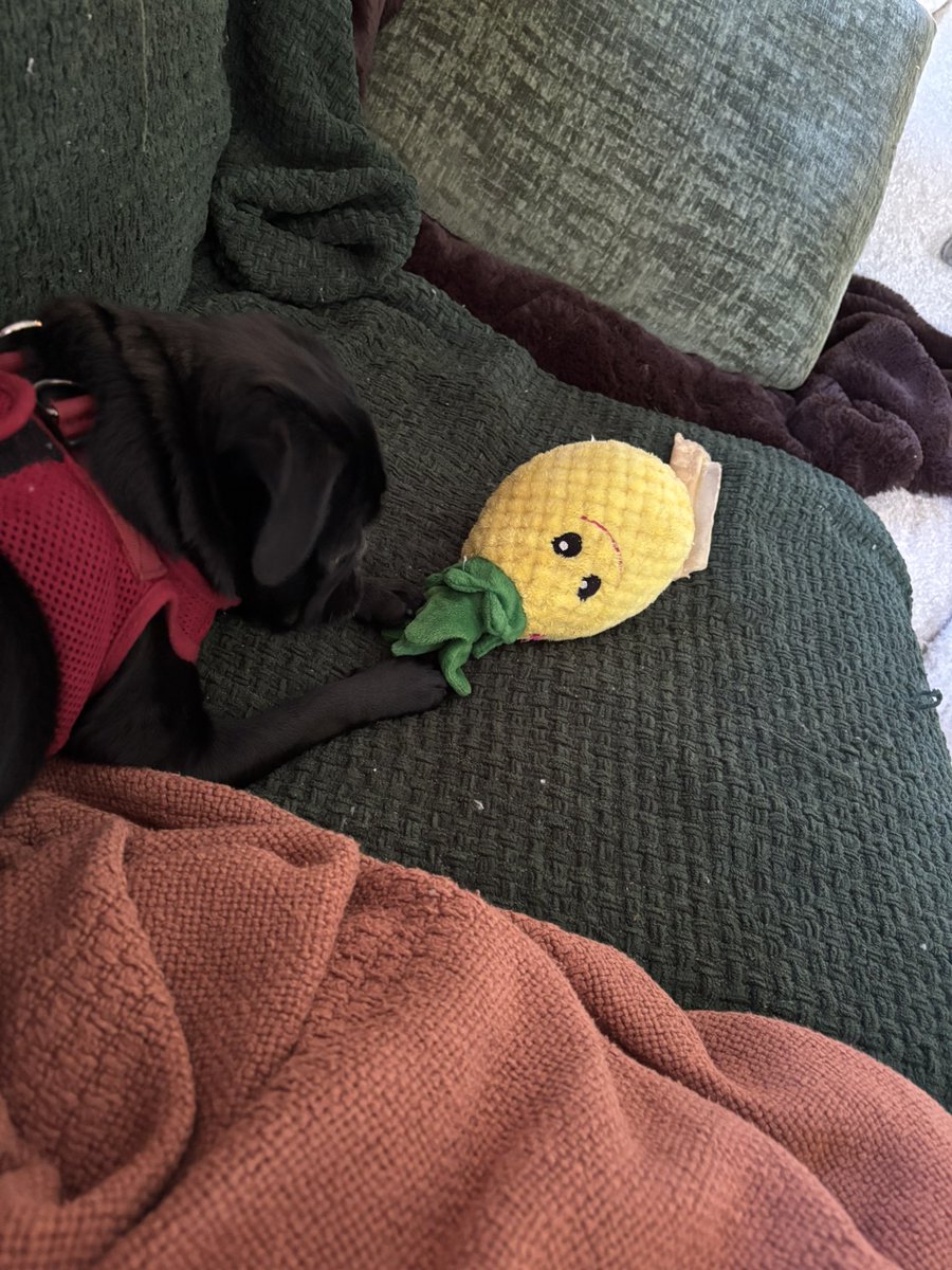 Mark "Buttons" Sibley tweet media