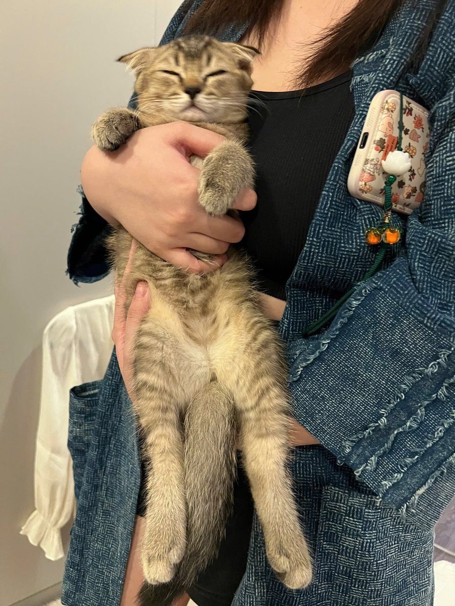 Hanny of Limveld tweet media