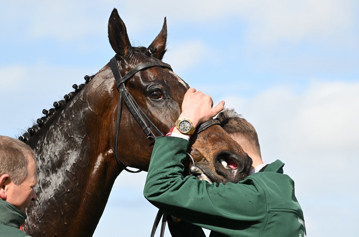 Post-race cuddles and kisses for I Am Maximus 💚💛