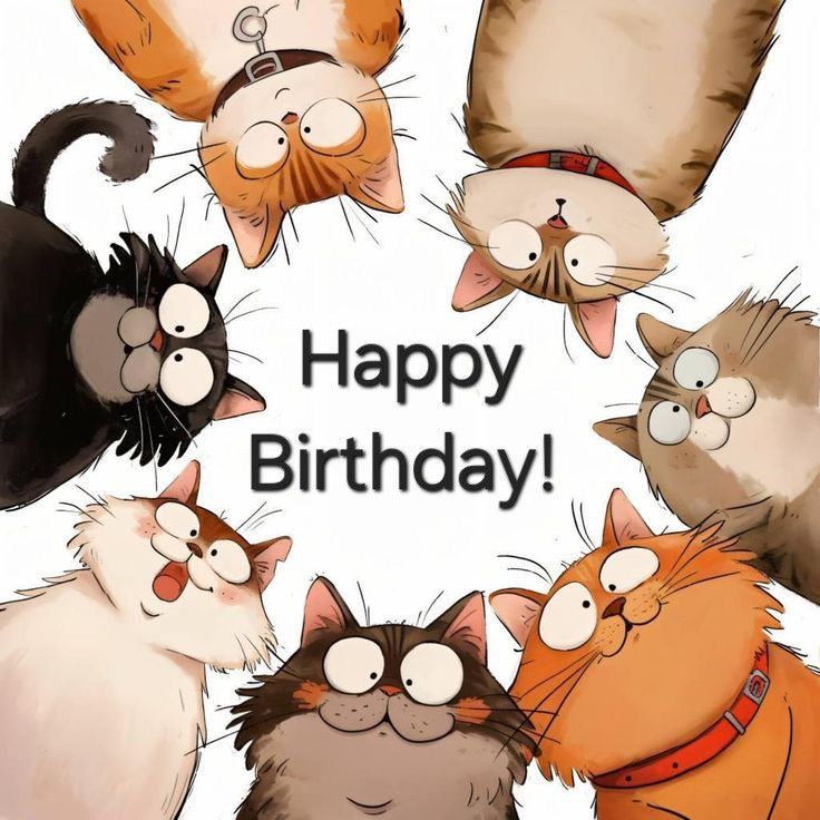 Schnubbel1969 🐈🙋🏻‍♀ tweet media