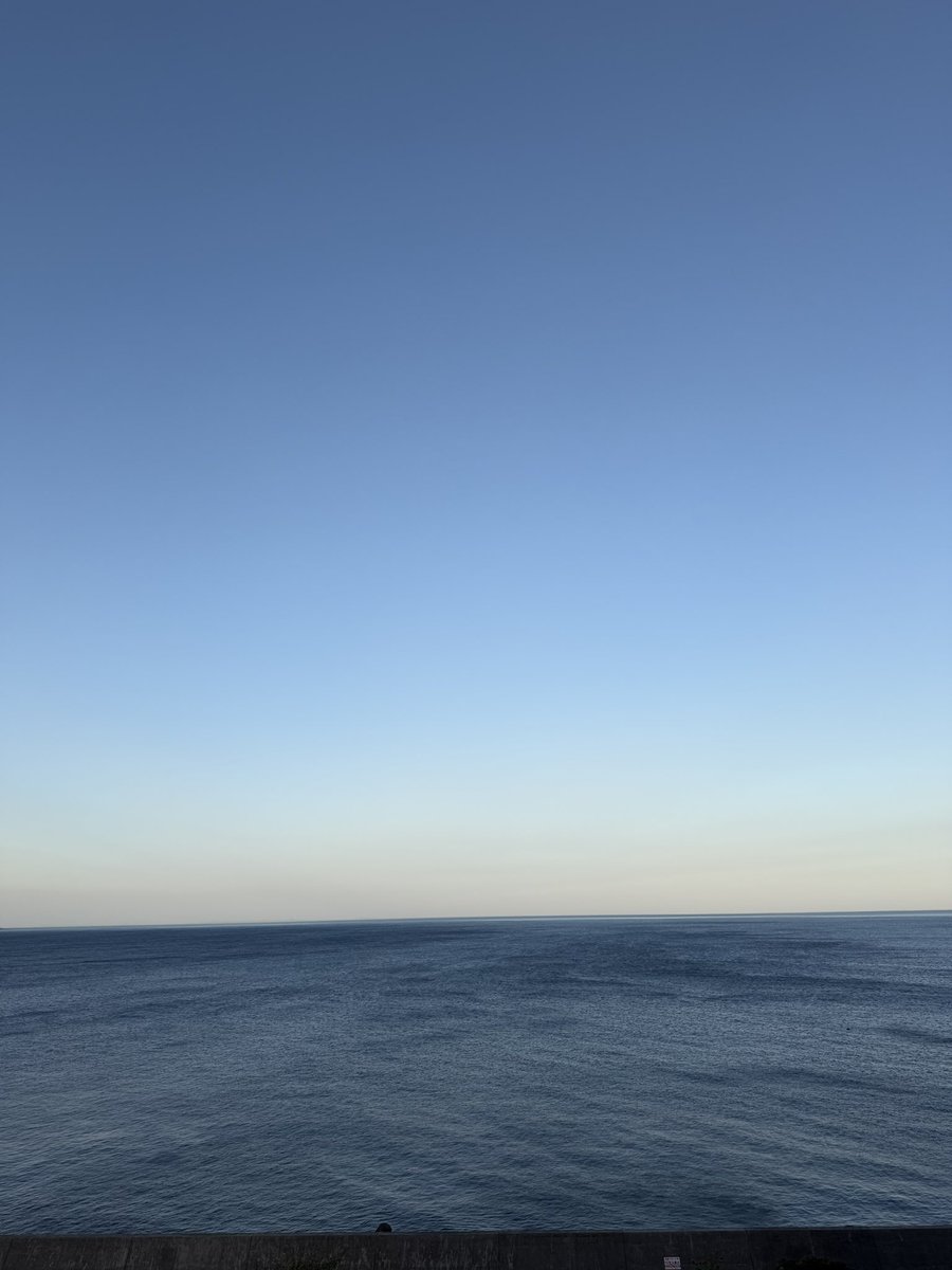 ぱぅふえ tweet media