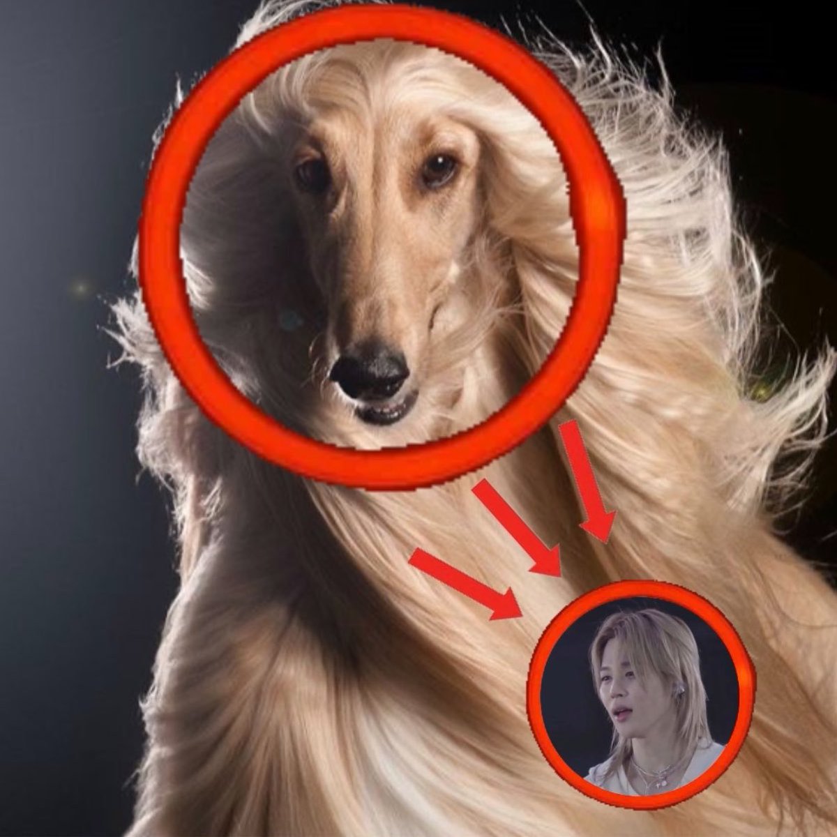 minjunggae's tweet image. hair #long and #tea asf