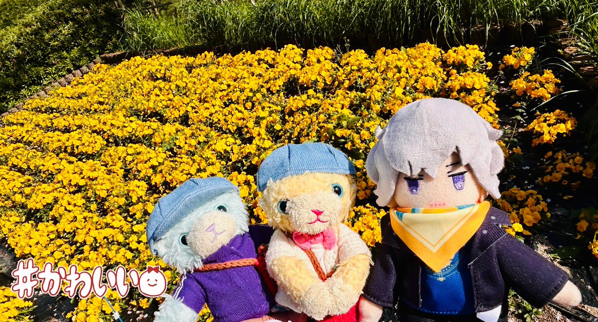 しまり tweet media