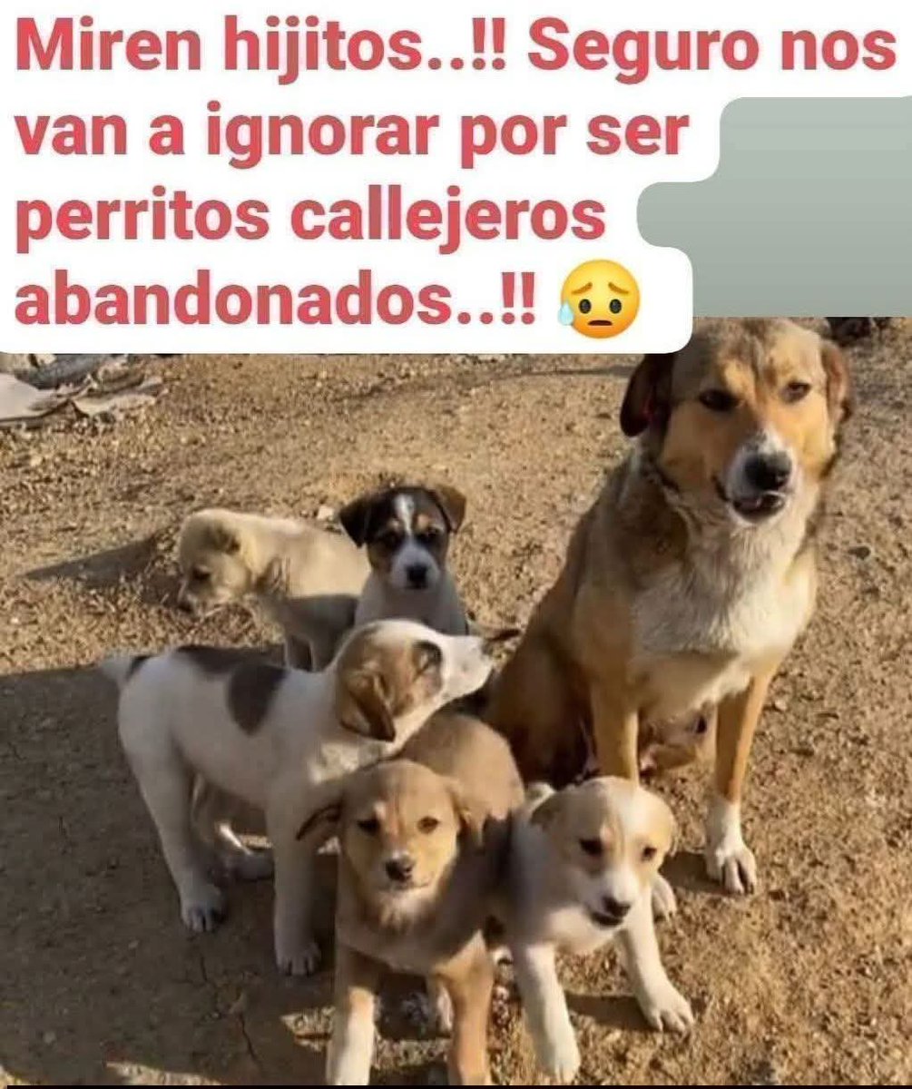 Manu Saenz💛💛 tweet media