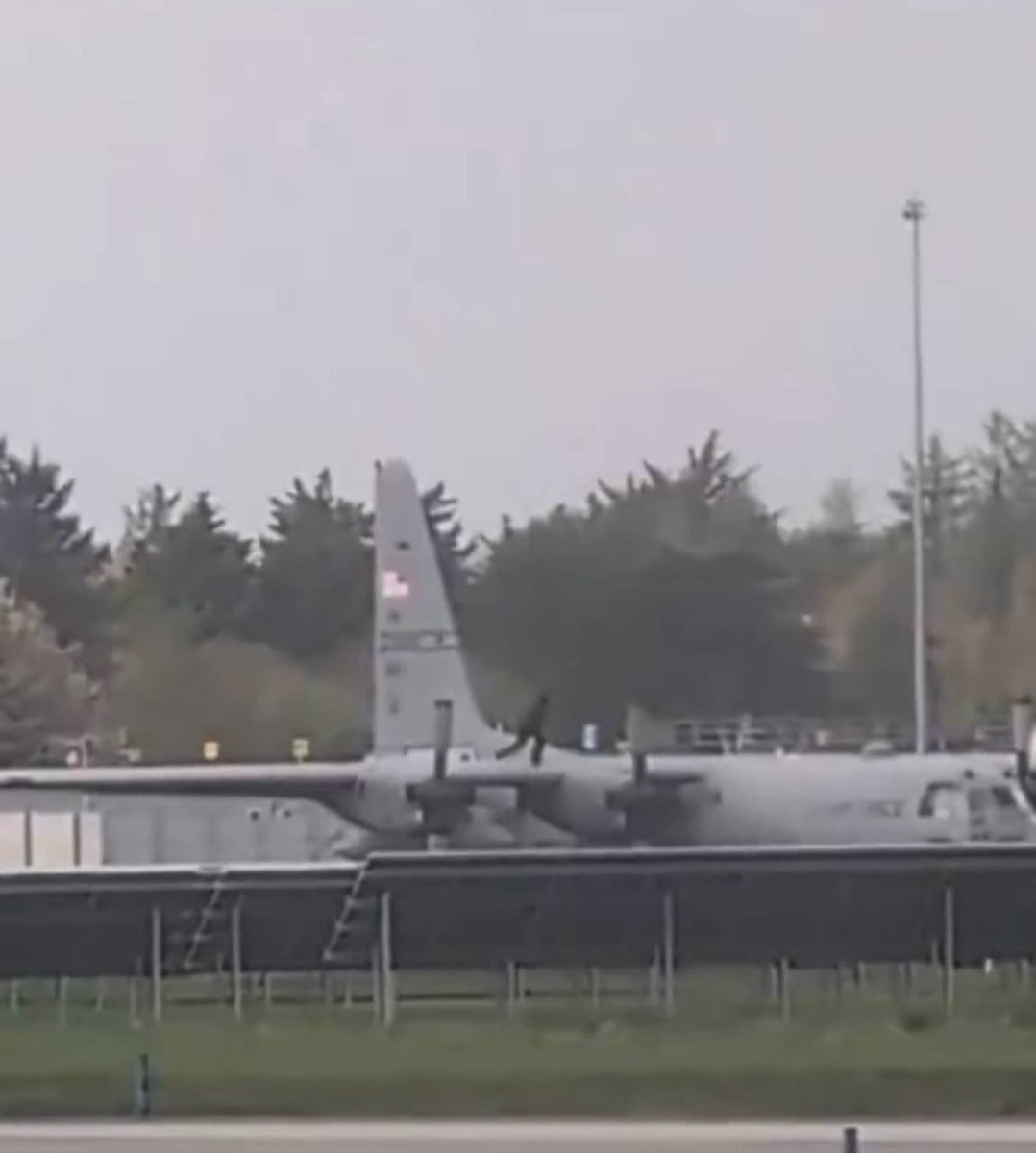 Megatron tweet media