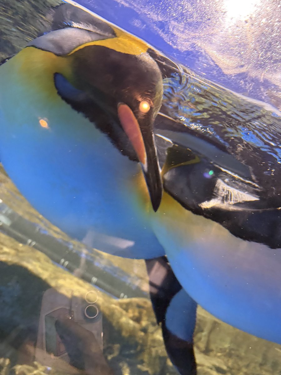 ひな。❕🤍 tweet media